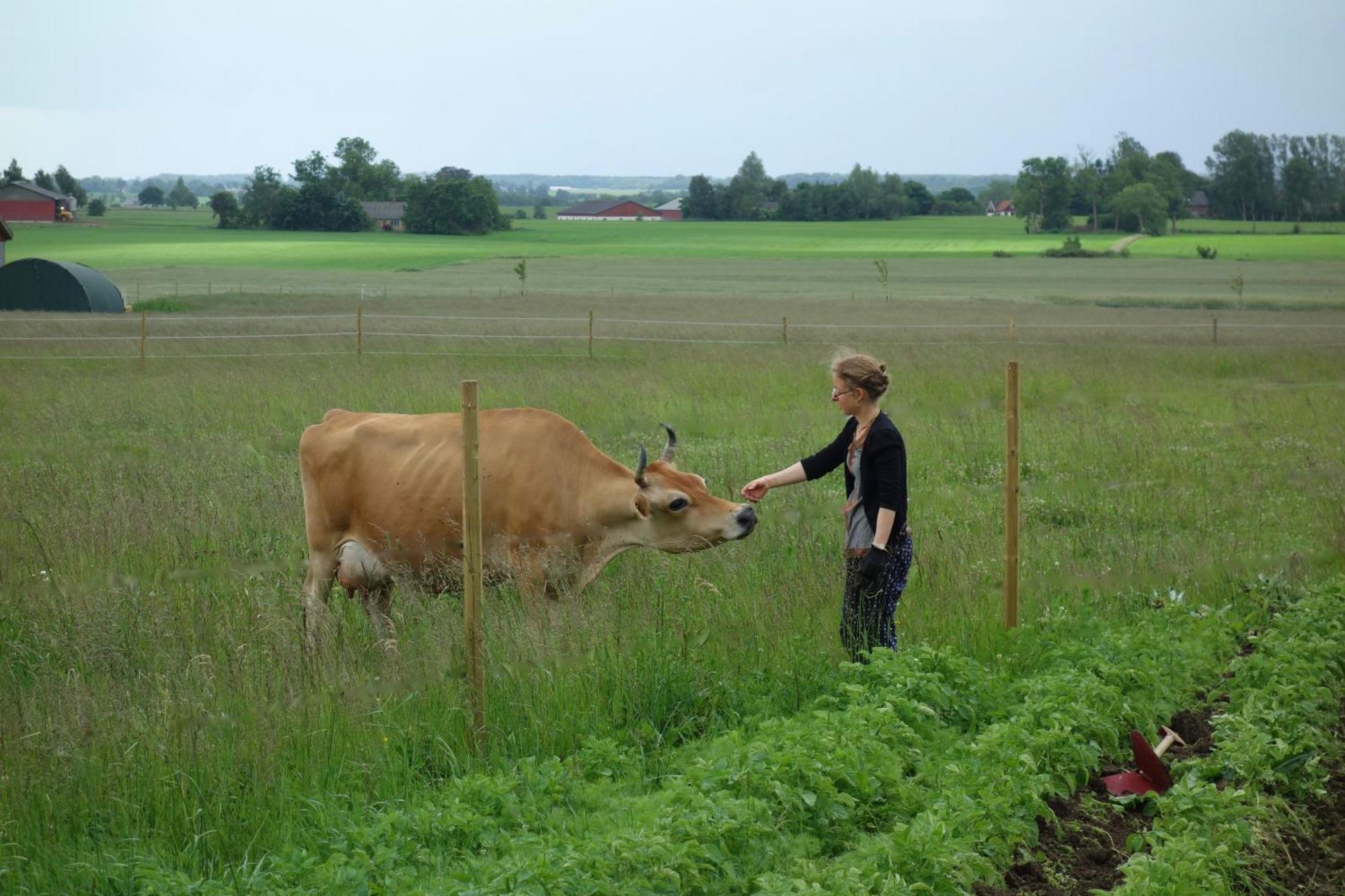 Bhumi's Farm * Lovestad